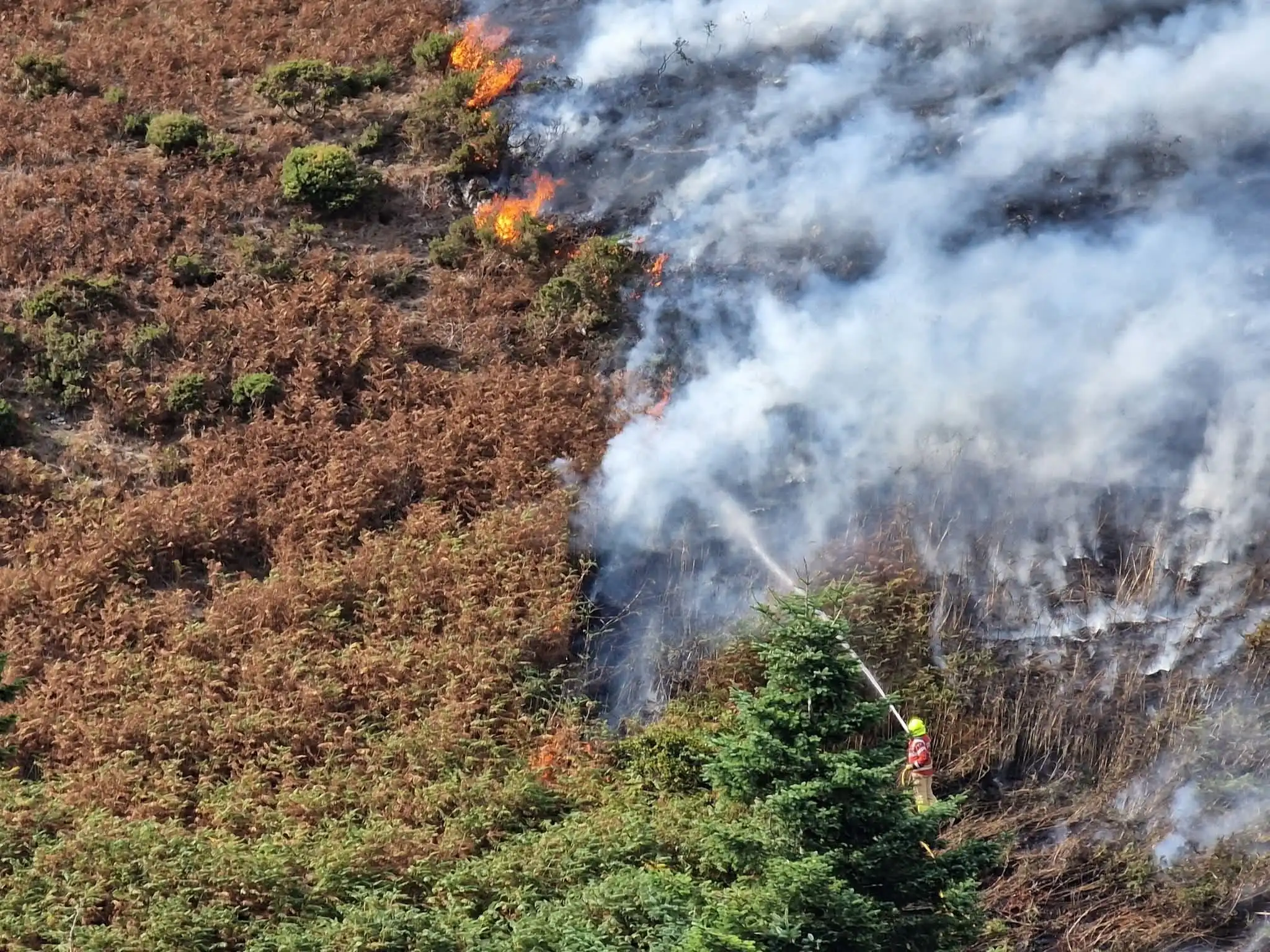 Priest Weston Grass Fire 04