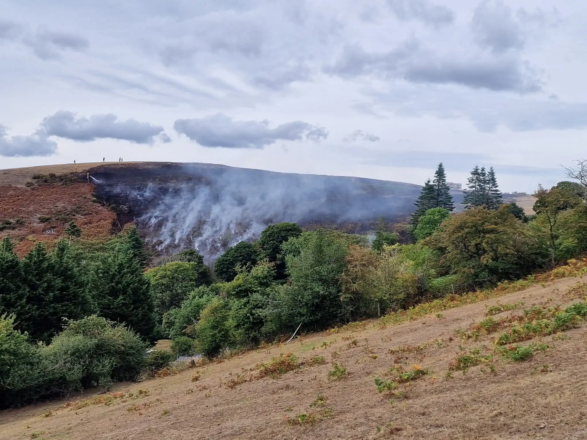 Priest Weston Grass Fire 01