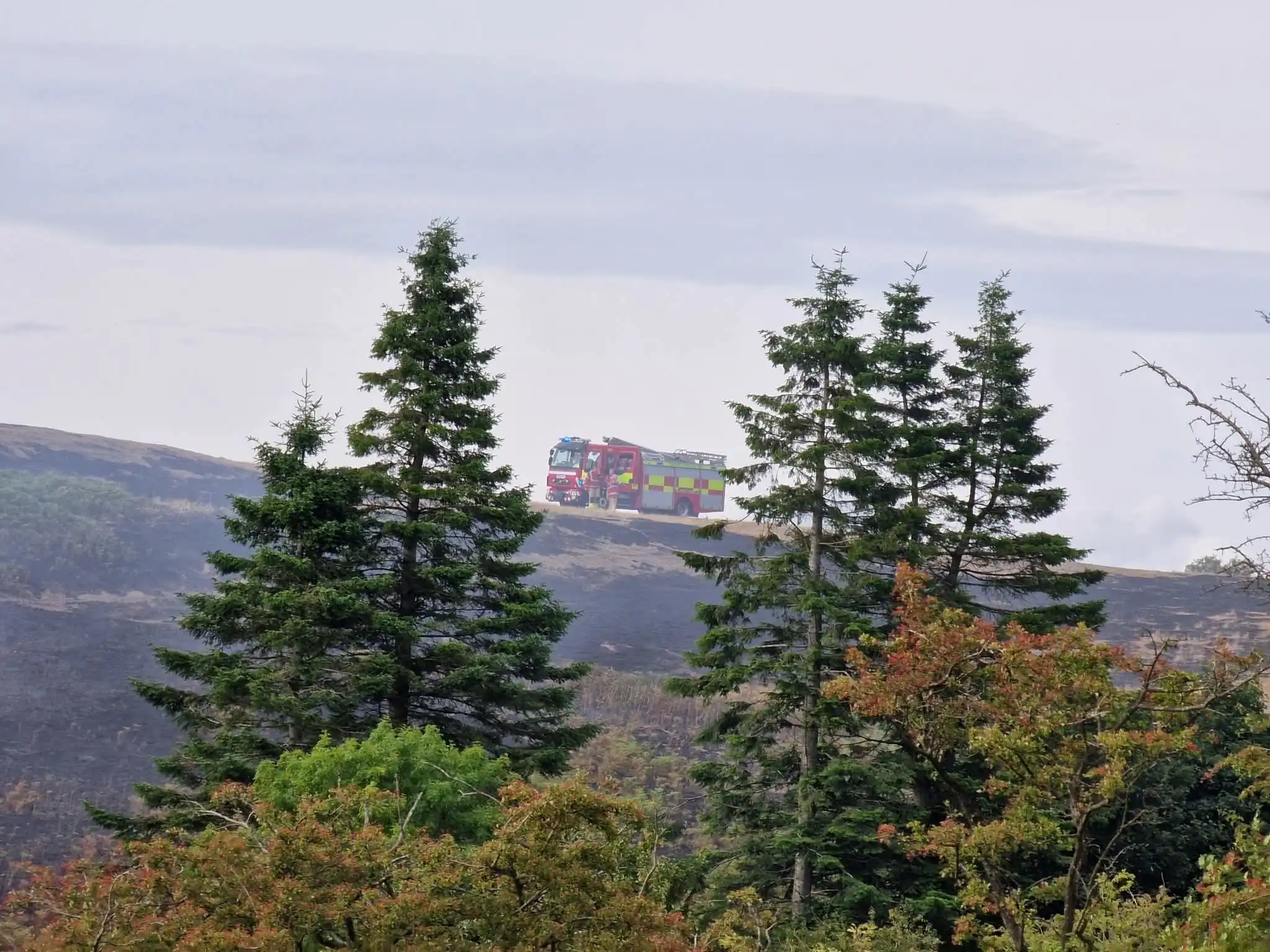 Priest Weston Grass Fire 03