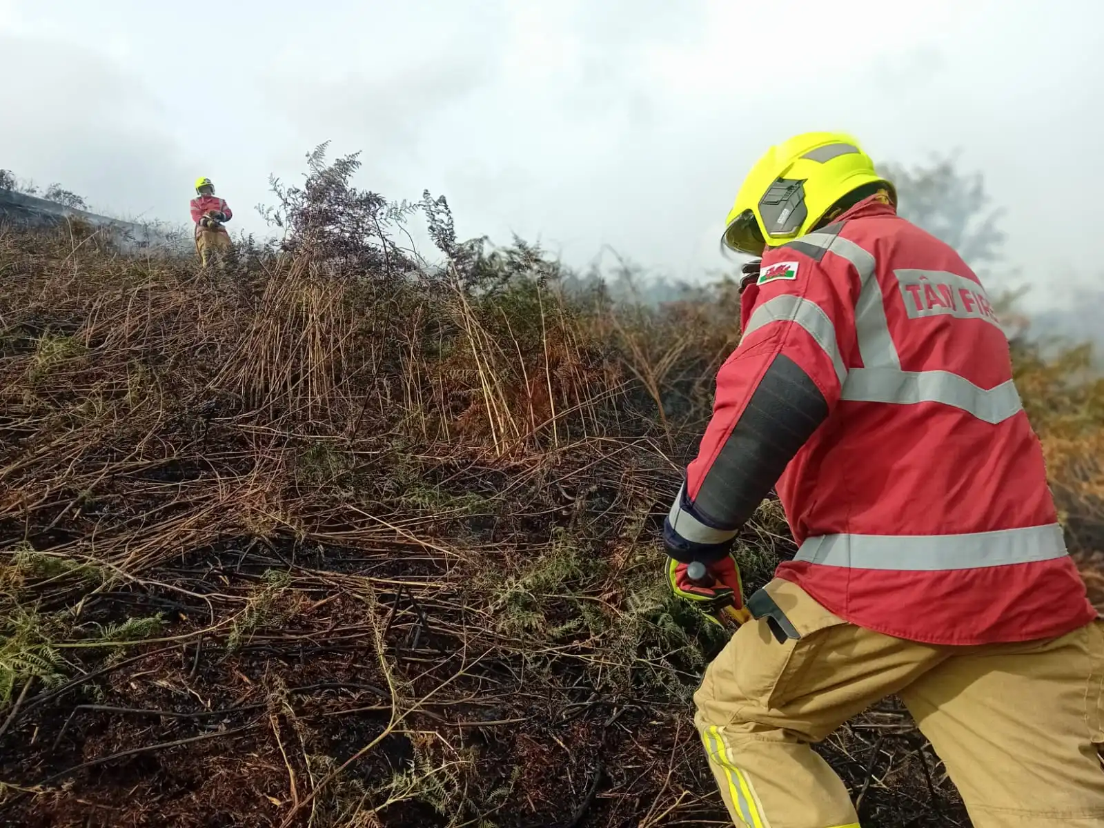 Priest Weston Grass Fire 06
